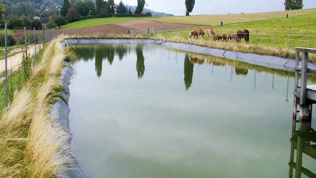 Bassin à ciel ouvert dédié aux chevaux